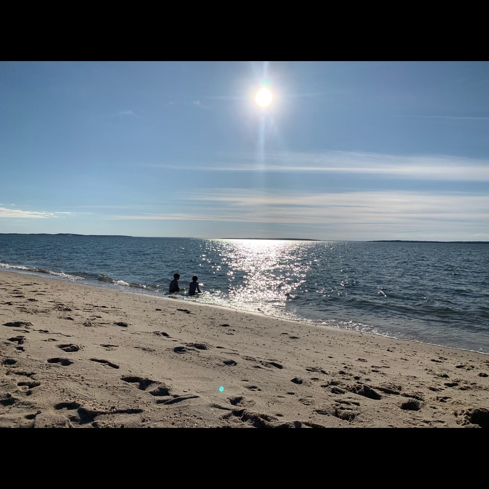 Meet your Posher, Bob